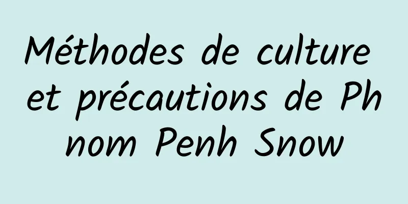 Méthodes de culture et précautions de Phnom Penh Snow