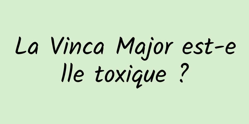 La Vinca Major est-elle toxique ?