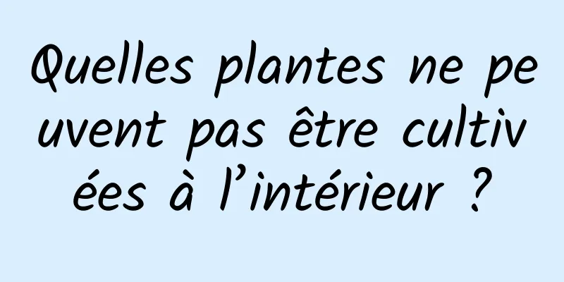 Quelles plantes ne peuvent pas être cultivées à l’intérieur ?