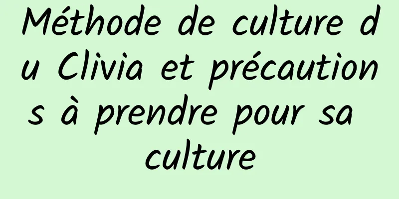 Méthode de culture du Clivia et précautions à prendre pour sa culture