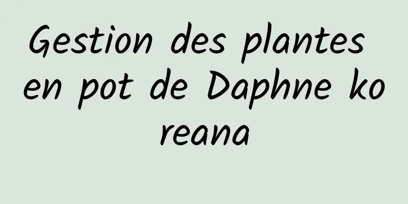 Gestion des plantes en pot de Daphne koreana