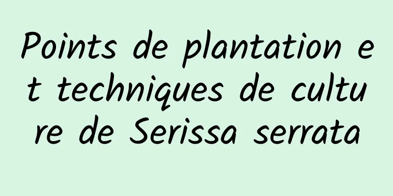 Points de plantation et techniques de culture de Serissa serrata