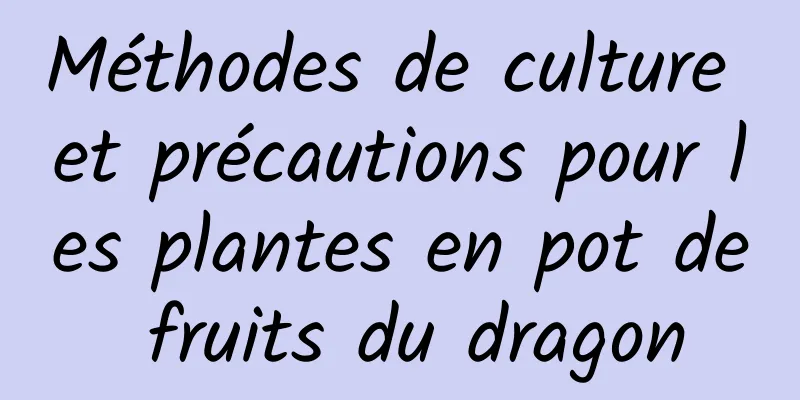 Méthodes de culture et précautions pour les plantes en pot de fruits du dragon