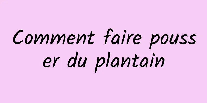 Comment faire pousser du plantain