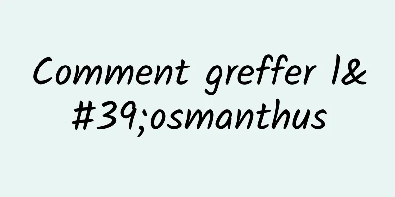 Comment greffer l'osmanthus