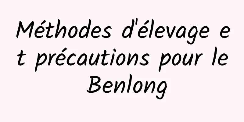 Méthodes d'élevage et précautions pour le Benlong