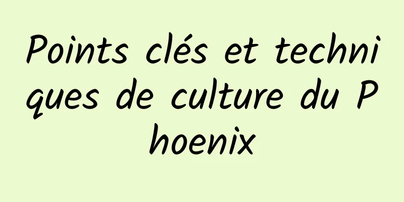 Points clés et techniques de culture du Phoenix