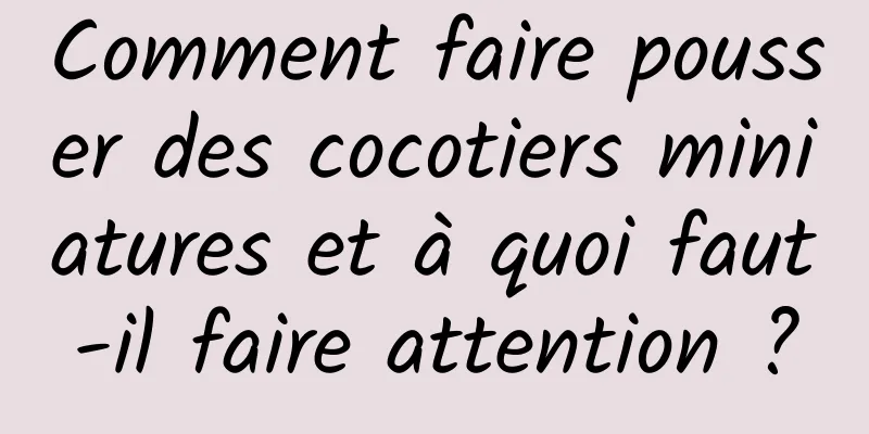 Comment faire pousser des cocotiers miniatures et à quoi faut-il faire attention ?