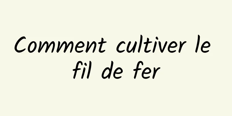 Comment cultiver le fil de fer