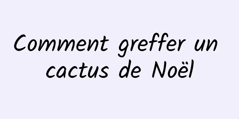 Comment greffer un cactus de Noël