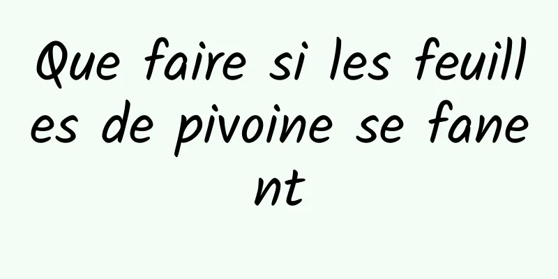 Que faire si les feuilles de pivoine se fanent