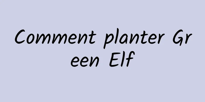 Comment planter Green Elf