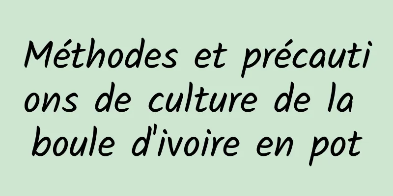 Méthodes et précautions de culture de la boule d'ivoire en pot