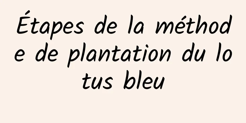 Étapes de la méthode de plantation du lotus bleu