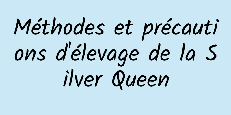 Méthodes et précautions d'élevage de la Silver Queen