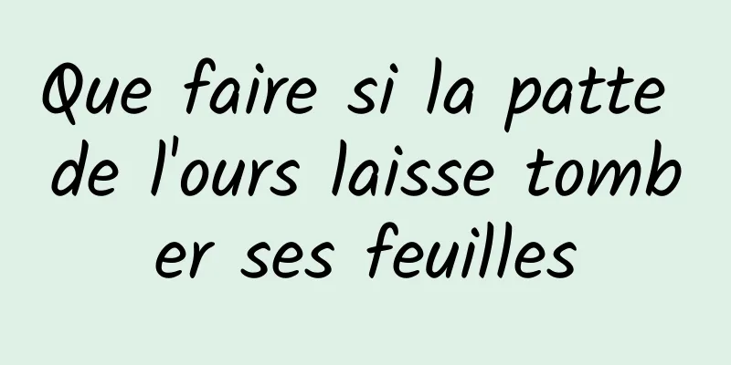 Que faire si la patte de l'ours laisse tomber ses feuilles