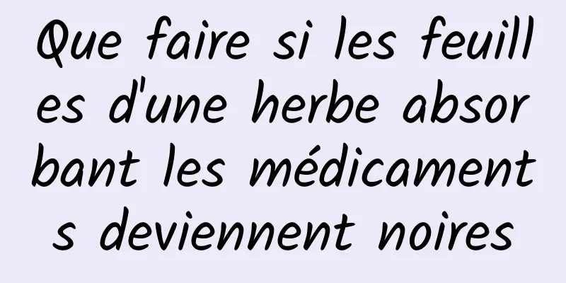 Que faire si les feuilles d'une herbe absorbant les médicaments deviennent noires