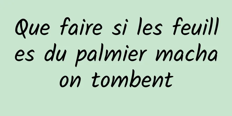 Que faire si les feuilles du palmier machaon tombent