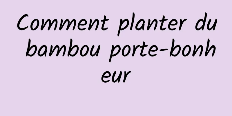 Comment planter du bambou porte-bonheur