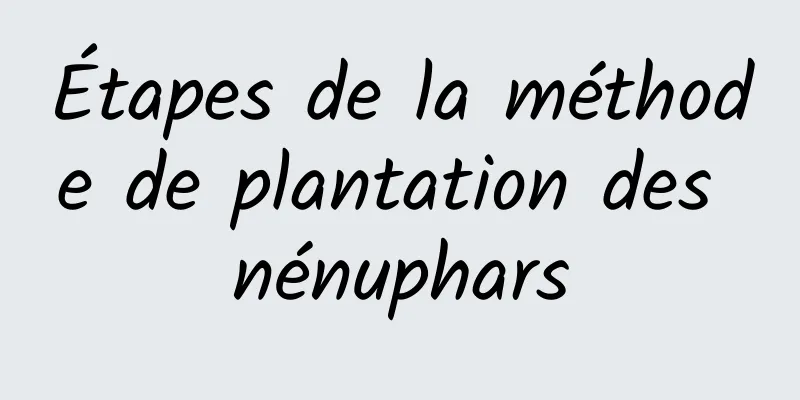 Étapes de la méthode de plantation des nénuphars