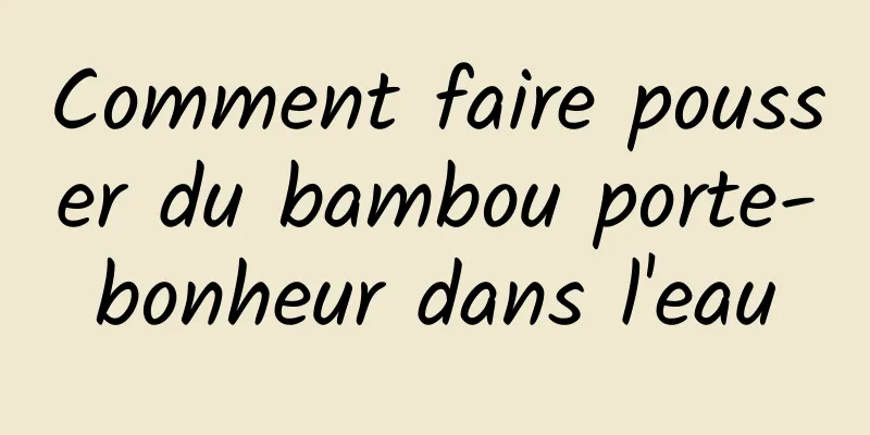 Comment faire pousser du bambou porte-bonheur dans l'eau