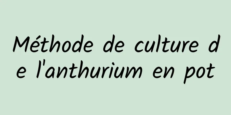 Méthode de culture de l'anthurium en pot