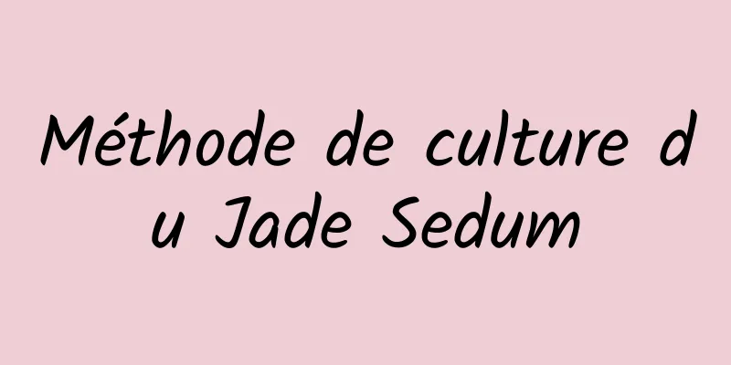 Méthode de culture du Jade Sedum