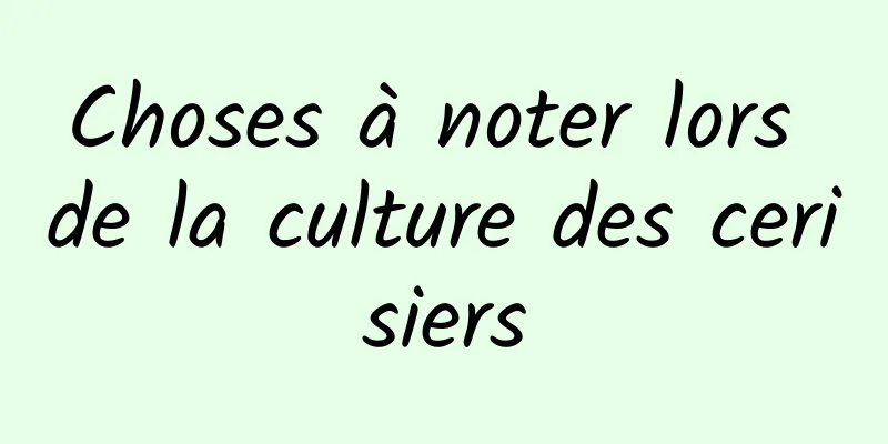 Choses à noter lors de la culture des cerisiers