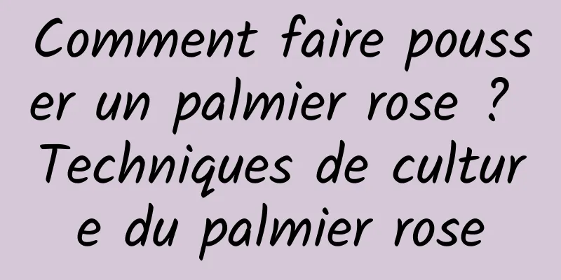 Comment faire pousser un palmier rose ? Techniques de culture du palmier rose