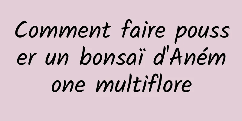 Comment faire pousser un bonsaï d'Anémone multiflore