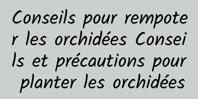 Conseils pour rempoter les orchidées Conseils et précautions pour planter les orchidées