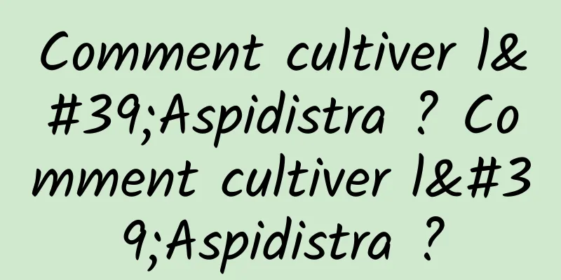 Comment cultiver l'Aspidistra ? Comment cultiver l'Aspidistra ?