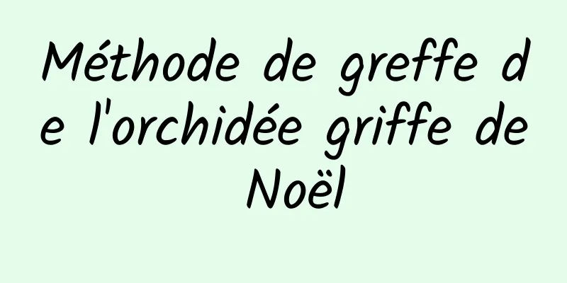 Méthode de greffe de l'orchidée griffe de Noël