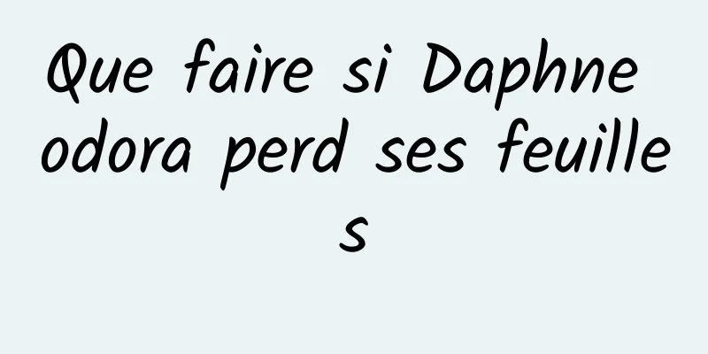 Que faire si Daphne odora perd ses feuilles