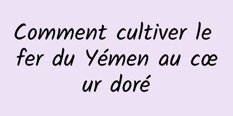 Comment cultiver le fer du Yémen au cœur doré