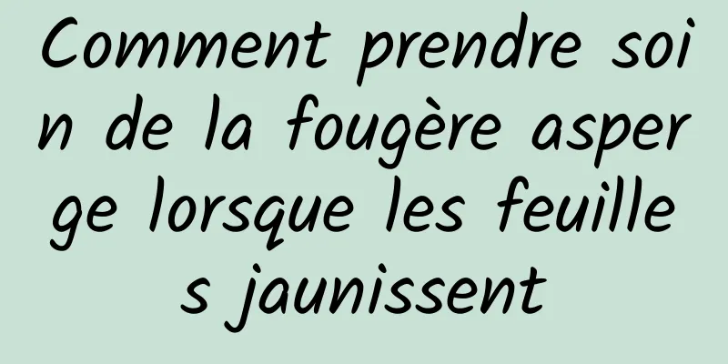 Comment prendre soin de la fougère asperge lorsque les feuilles jaunissent