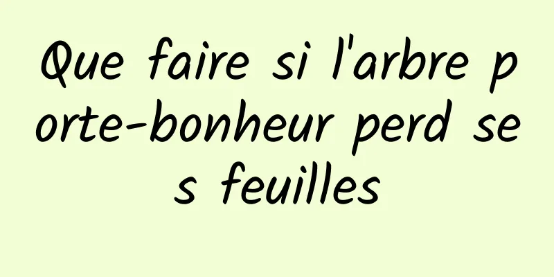 Que faire si l'arbre porte-bonheur perd ses feuilles