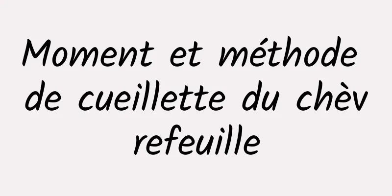 Moment et méthode de cueillette du chèvrefeuille