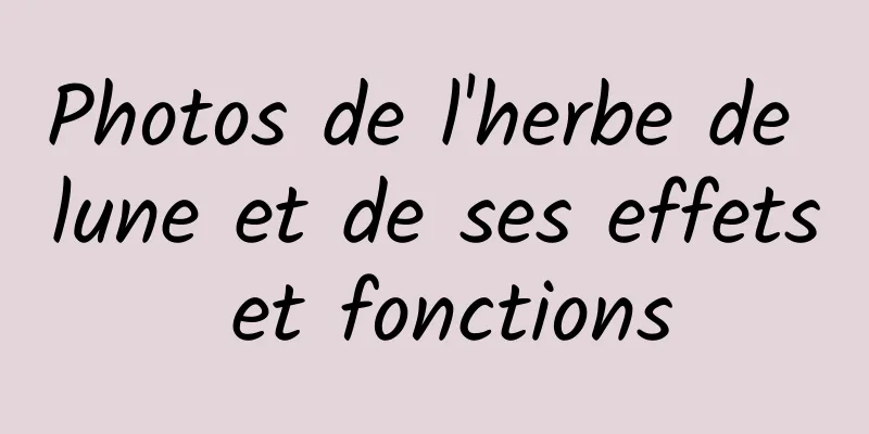 Photos de l'herbe de lune et de ses effets et fonctions