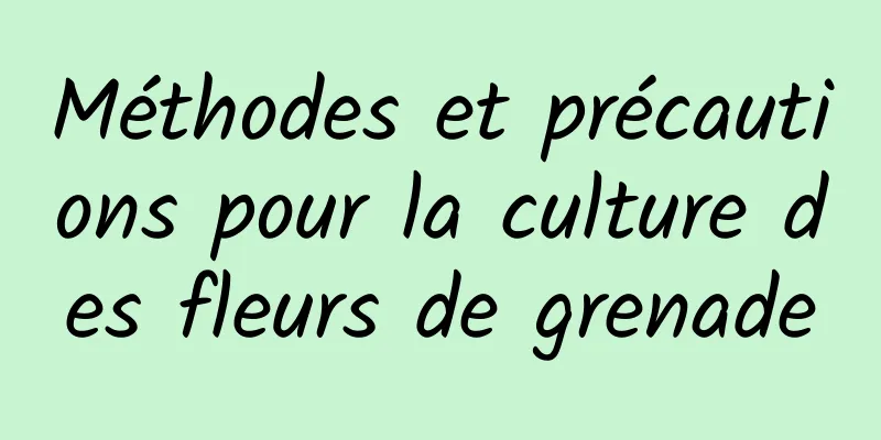 Méthodes et précautions pour la culture des fleurs de grenade