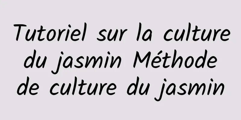 Tutoriel sur la culture du jasmin Méthode de culture du jasmin