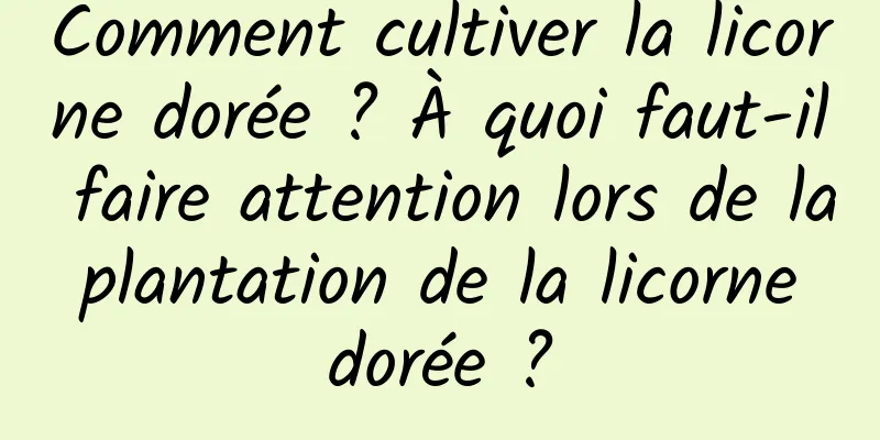 Comment cultiver la licorne dorée ? À quoi faut-il faire attention lors de la plantation de la licorne dorée ?