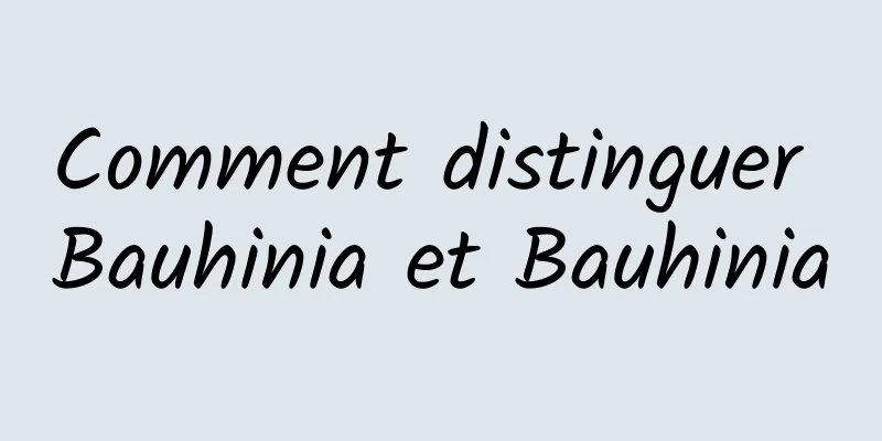 Comment distinguer Bauhinia et Bauhinia