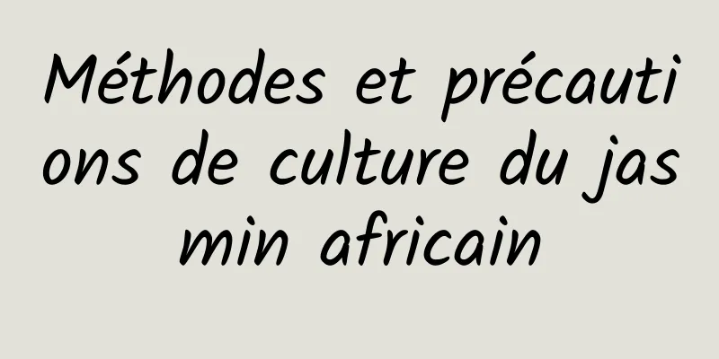 Méthodes et précautions de culture du jasmin africain