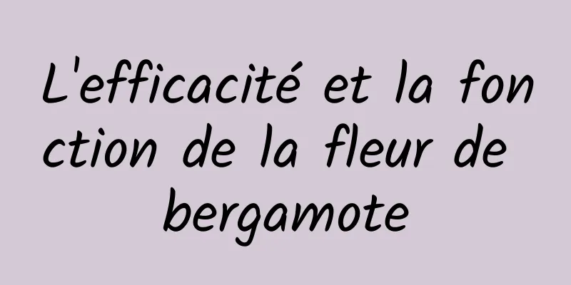 L'efficacité et la fonction de la fleur de bergamote