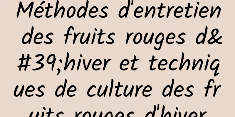 Méthodes d'entretien des fruits rouges d'hiver et techniques de culture des fruits rouges d'hiver