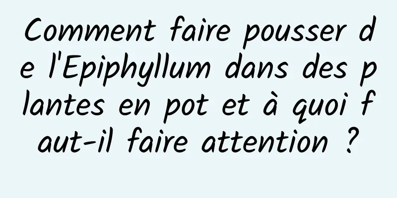 Comment faire pousser de l'Epiphyllum dans des plantes en pot et à quoi faut-il faire attention ?