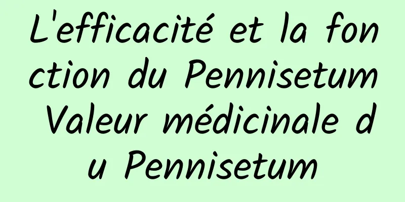 L'efficacité et la fonction du Pennisetum Valeur médicinale du Pennisetum