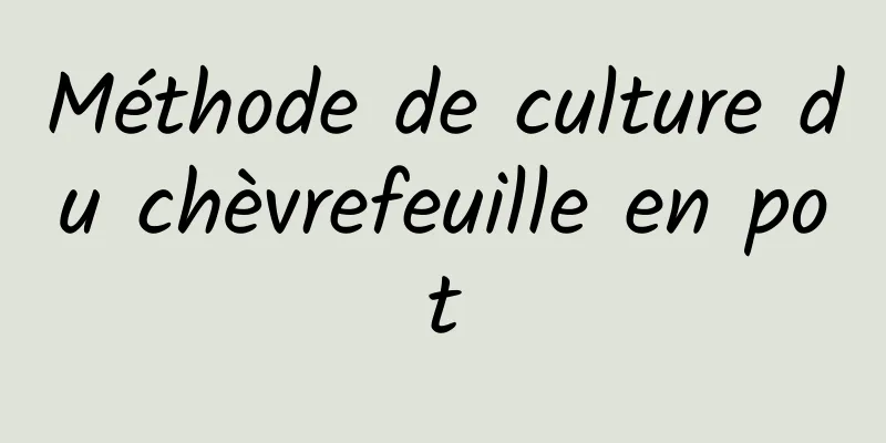 Méthode de culture du chèvrefeuille en pot