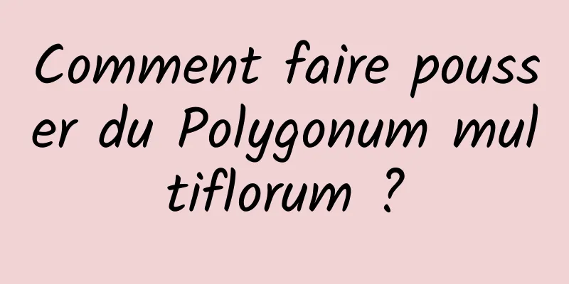 Comment faire pousser du Polygonum multiflorum ?